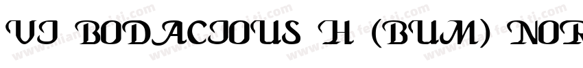 VI Bodacious H (Bum) Normal字体转换